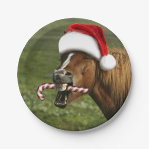 Funny Christmas horse with Santa hat smiling Paper Plate