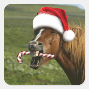 Funny Christmas horse with Santa hat smiling Square Sticker