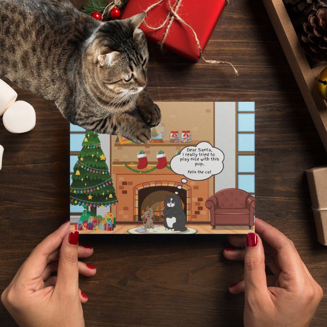 Funny Christmas Humour Bah Hum Cat Holiday Postcar (Creator Uploaded)