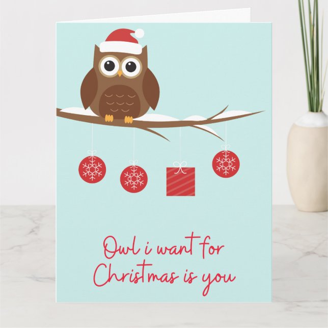 Funny Christmas Owl Card (Front)