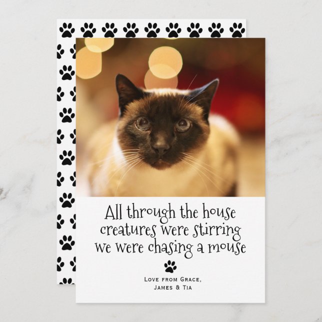 Funny Christmas Pet Cat Holiday Card (Front/Back)