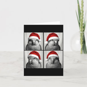 Funny Christmas Quaker Parrot Santa Photo Booth  Card