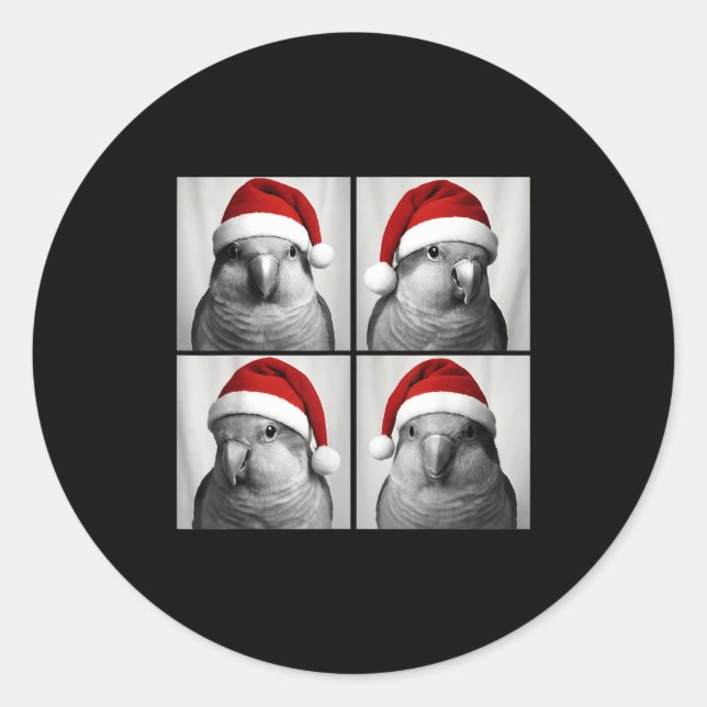 Funny Christmas Quaker Parrot Santa Photo Booth  Classic Round Sticker (Front)