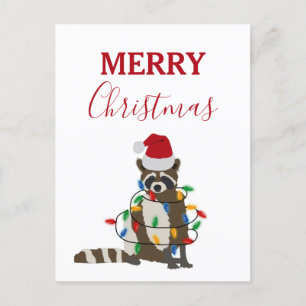 Funny Christmas Raccoon Santa Hat Xmas Lights Holiday Postcard