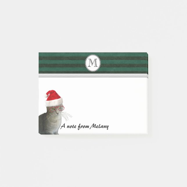 Funny Christmas santa cat Post-it Notes (Front)
