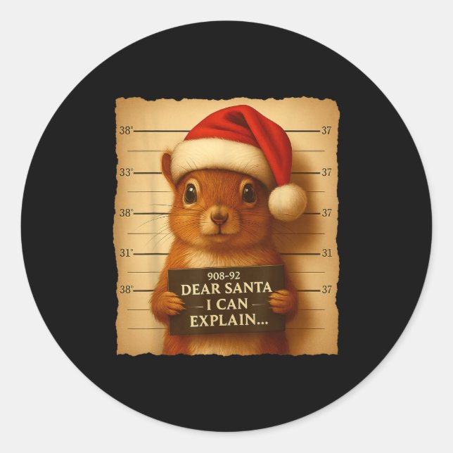 Funny Christmas Squirrel - Cute Squirrel Santa Hat Classic Round Sticker (Front)