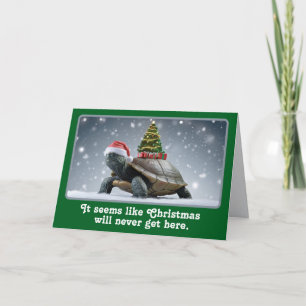 Funny Christmas Turtle Holiday Card