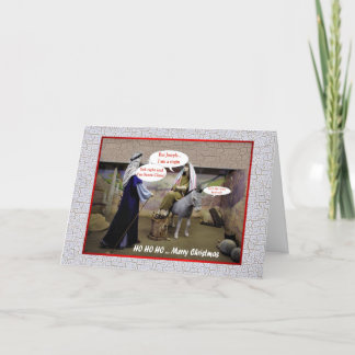 Funny Christmas Virgin Mary and Joseph in barn Holiday Card