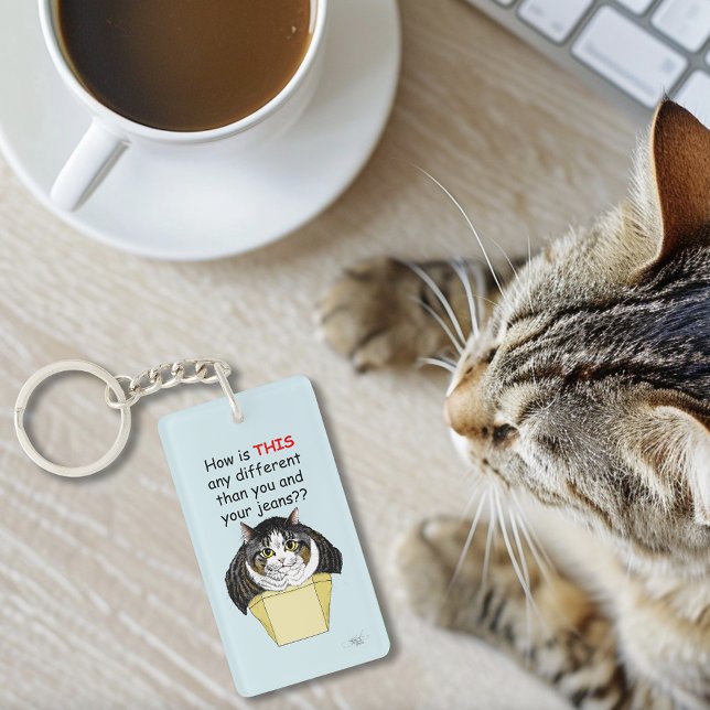 Funny Chubby Tabby Cat Box Keychain (Creator Uploaded)