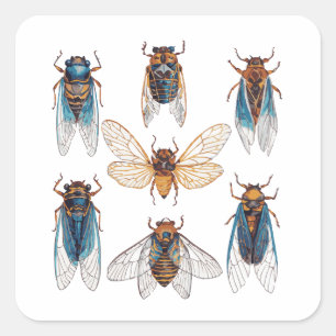 Funny Cicadas Insect Bug Graphic Cicada Lover Square Sticker