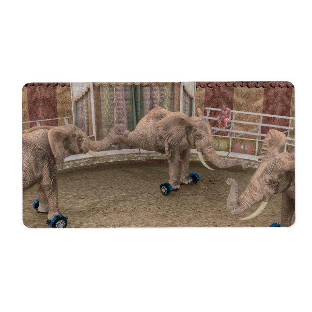 Funny Circus Elephants (Front)