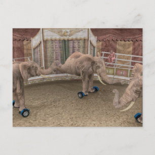 Funny Circus Elephants Postcard