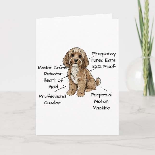 Funny Cockapoo Anatomy Greeting Card (Front)