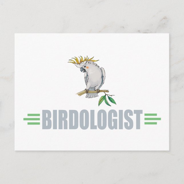 Funny Cockatiel Postcard (Front)