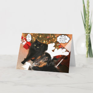 Funny Collie & Black Cat Carte de Noël