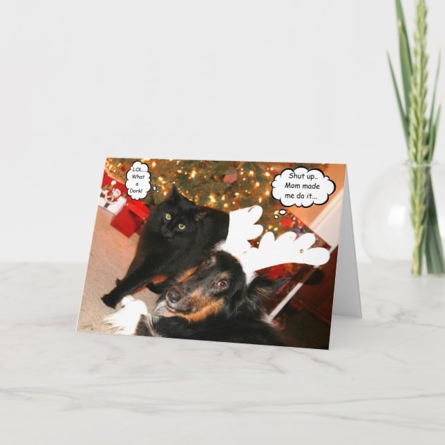 Funny Collie & Black Cat Christmas Card (Front)