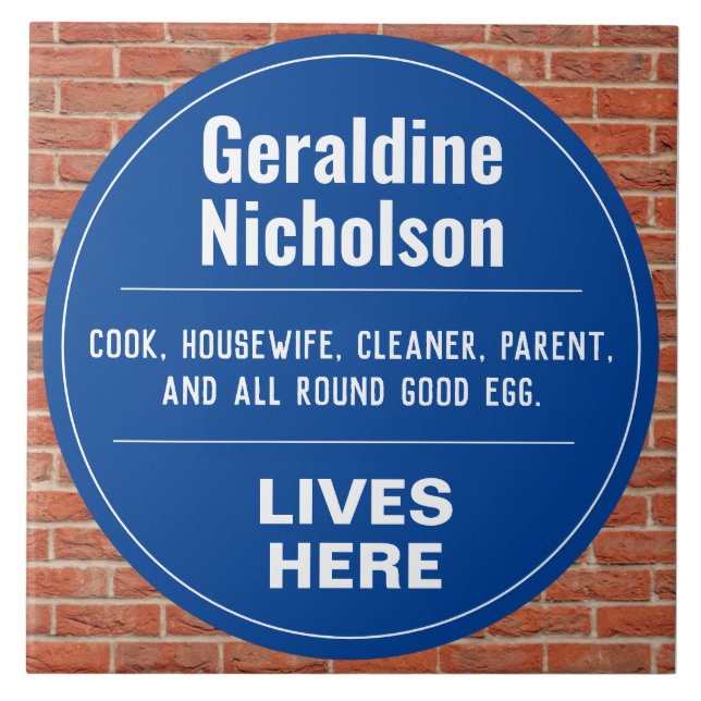 Funny Commemorative Wall Plaque Tile (Front)