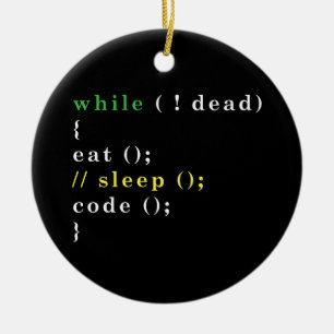 Funny Computer Science Programmer Eat Sleep Code Ceramic Ornament