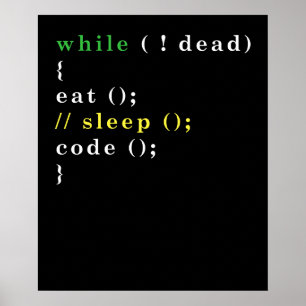 Funny Computer Science Programmer Eat Sleep Code Poster