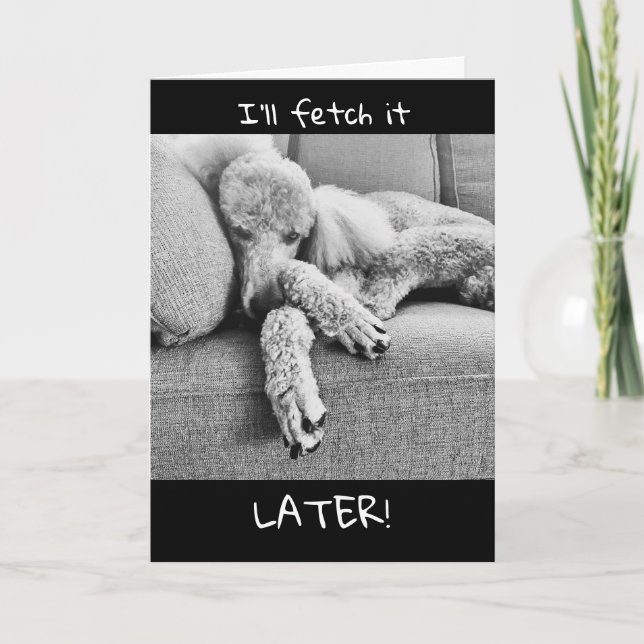 Funny Congratulations Retirement with Lazy Poodle Card (Front)