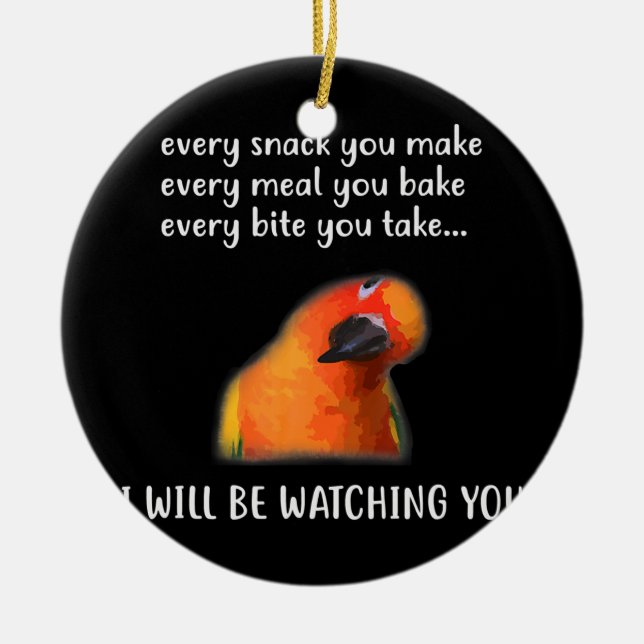 Funny Conure Bird Sun Conure for Conure Lover  Ceramic Ornament (Front)