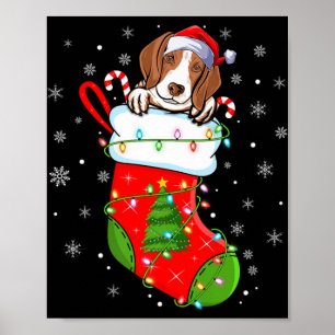 Funny Coonhound Dog In Christmas Socks Lights Xmas Poster