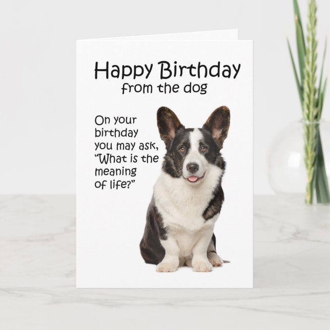 Funny Corgi Birthday Card (Front)