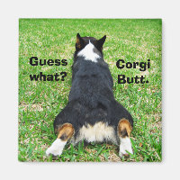 Funny Corgi Butt