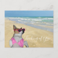 Funny Corgi in Bikini Beach