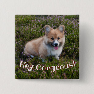 Funny Corgi Puppy Pun 2 Inch Square Button