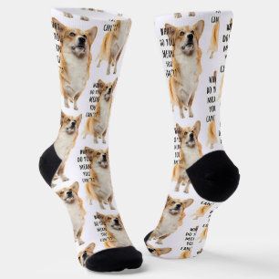 Funny Corgi Question Socks