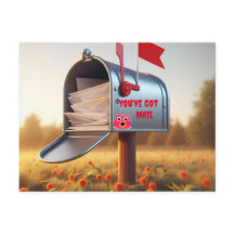 Funny- Country Mailbox You’ve Got Mail - Postcard