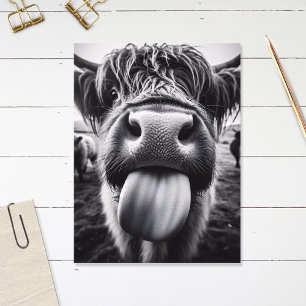 Funny Cow Black and White Postcard