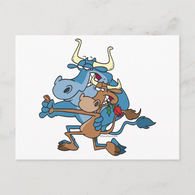 funny cow bull tango cartoon postcard (Front)