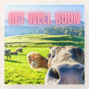 Funny Cow Get Well Soon Glass Coaster