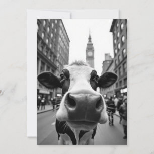 Funny Cow Selfie on a Busy City Street Invitation