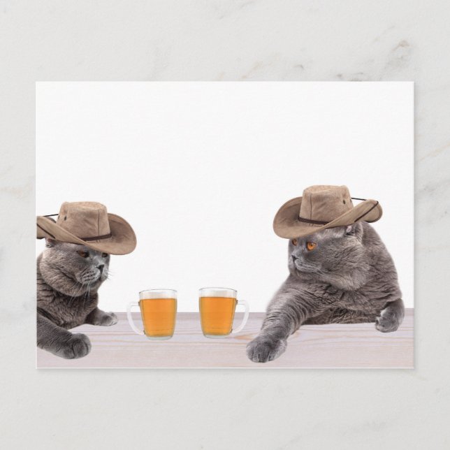 Funny cowboy cats are drinking beer postcard (Front)