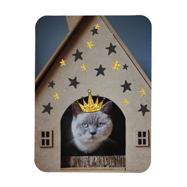 Funny Crabby Grumpy Cat Photography Cute Cat Lover Magnet (Vertical)