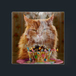 Funny Cranky Cat With Melted Birthday Cupcake 2 Inch Square Button<br><div class="desc">Another year… another blaze of glory! | Avanti,  the Global Humor Brand™ has been entertaining the world with its Feel Good Funny greeting cards for over 40 years. Our characters live life to the fullest and celebrate the humor in everyday life.</div>
