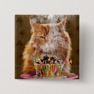 Funny Cranky Cat With Melted Birthday Cupcake 2 Inch Square Button
