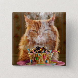 Funny Cranky Cat With Melted Birthday Cupcake 2 Inch Square Button