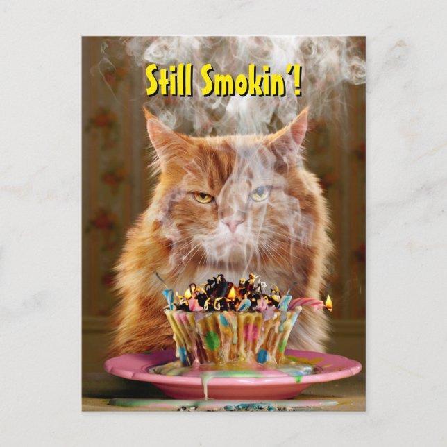 Funny Cranky Cat With Melted Birthday Cupcake Invitation Postcard (Front)