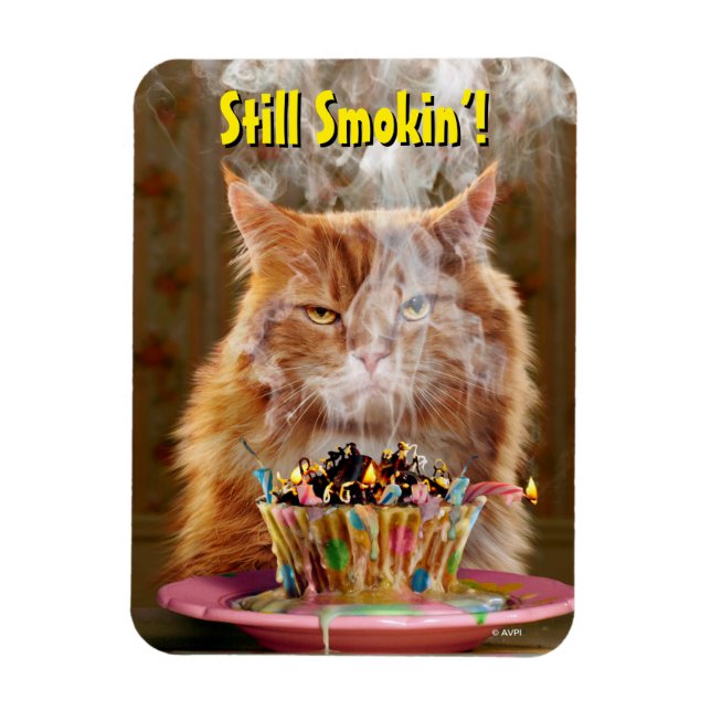 Funny Cranky Cat With Melted Birthday Cupcake Magnet (Vertical)