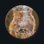 Funny Cranky Cat With Melted Birthday Cupcake Paper Plate<br><div class="desc">Another year… another blaze of glory! | Avanti,  the Global Humor Brand™ has been entertaining the world with its Feel Good Funny greeting cards for over 40 years. Our characters live life to the fullest and celebrate the humor in everyday life.</div>