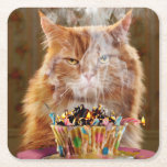 Funny Cranky Cat With Melted Birthday Cupcake Square Paper Coaster<br><div class="desc">Another year… another blaze of glory! | Avanti,  the Global Humor Brand™ has been entertaining the world with its Feel Good Funny greeting cards for over 40 years. Our characters live life to the fullest and celebrate the humor in everyday life.</div>