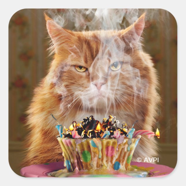 Funny Cranky Cat With Melted Birthday Cupcake Square Sticker (Front)