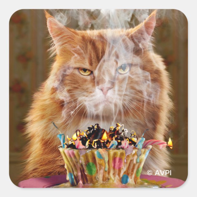 Funny Cranky Cat With Melted Birthday Cupcake Square Sticker (Front)