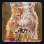 Funny Cranky Cat With Melted Birthday Cupcake Square Sticker<br><div class="desc">Another year… another blaze of glory! | Avanti,  the Global Humour Brand™ has been entertaining the world with its Feel Good Funny greeting cards for over 40 years. Our characters live life to the fullest and celebrate the humour in everyday life.</div>