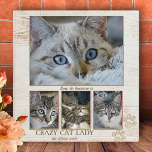 Funny Crazy Cat Lady Classeur photo