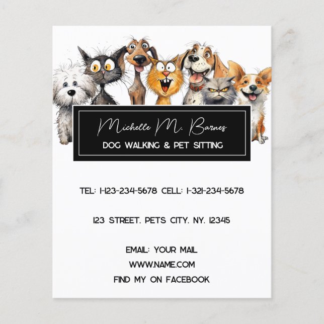 Funny Crazy Cats Dogs Pet Sitter Modern White Flyer (Front)
